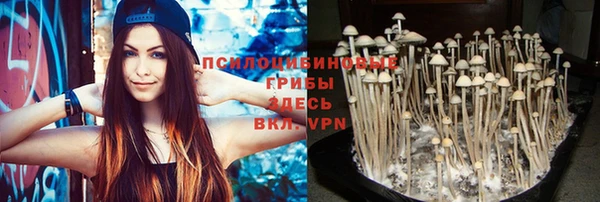 MDMA Premium VHQ Михайлов