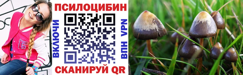 Псилоцибиновые грибы ЛСД  Заозёрный 