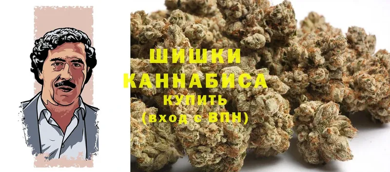 продажа наркотиков  Заозёрный  Канабис ГИДРОПОН 